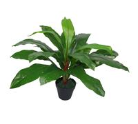 60cm Bushy Large Artificial Bird's Nest Fern Plant Leaf Green One Size