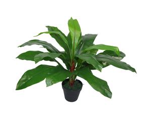 60cm Bushy Large Artificial Bird's Nest Fern Plant