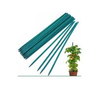 (60cm) Garden Stakes 50 Pack Bamboo Sticks Plant Support Green Wooden Canes Gardening