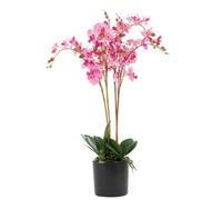 60cm Leaf Design UK Realistic Artificial Orchid Flower Display in Pot Leaf Pink One Size