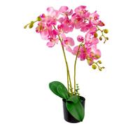 60cm Leaf Design UK Realistic Artificial Orchid Flower Display in Pot Leaf Green One Size