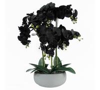 60cm Orchid Black - White Ceramic Planter Leaf Green One Size