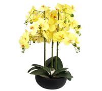 Orchid Artificial Yellow Black Ceramic Planter Botanik