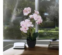 (60CM - ORCHID) LARGE Artificial Palm Trees, Ficus Plants, Bamboo Tropical Yukka ULTRA REALISTIC