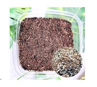 60g Live Springtails Culture Perfect Bioactive Insects and Clean Up Crew with Isopods for Terrariums & Vivariums, Nutritious Live Bugs Food over 100+ Springtails in soil