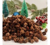 60P Natural Pine Cones for Christmas Wreath Making Supplies,Christmas Pine Cones Like a Peak Tower PineCone Different Size,Autumn Decor for Fall,Wedding,Mini Pinecones Xmas Tree Craft Florist Decor