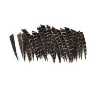 60pcs Archery Fletchings 3" 4" 5" Turkey Feather Arrows Fletching Vanes, for Hunting, Target, Shooting DIY Arrow (5inch Primary colours)