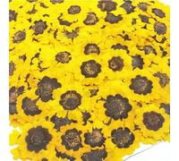 60pcs Dried Pressed Coreopsis Flower Plant Herbarium For Jewelry Postcard Invitation Card Phone Case Bookmark DIY-default