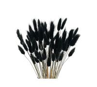 60Pcs Fall Dried Flowers Bunny Dried Flowers Lagurus Ovatus Rabbit Tail Grass for Dried Floral(Black)