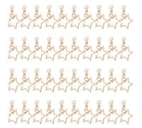 60pcs Star Keychain Clasp Spring Snap Hook with Jump Ring Connector | Golden Finish, 360-degree Rotating Base, Craft-friendly Assembly for Handbags, Nail Clippers, Art Projects