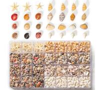 60Pcs Starfish & 1600Pcs Tiny Sea Shells - 5 Types Natural Seashells for Home Decorations Candle Decor DIY Fish Tank and Beach Vase Filler for Crafting Spiral Conch Shells