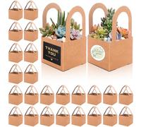 60pcs Succulent Wrap Bags Bulk with Thank You Stickers Fits 2.5 Inch Pots, Mini Kraft Paper Succulent Gift Box Basket with Handles for Wedding, Baby Shower, Succulent Plants Party Favors for Guest