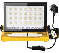 60W LED Work Light, Mains Powered Loft Light with 13ft Wire & Switch