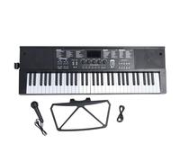 61 Keys Electronic Keyboard for Beginners Dual Speakers LED Screen USB Powered Electronic Organ with Lighted Keys Music Stand