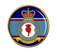 61 Squadron, RAF Pin Badge