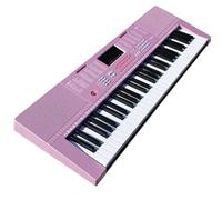 61Keys Pink Electronic Organ Musical Instruments Professional Keyboard Piano