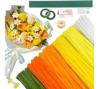 620 Pieces Pipe Cleaners Chenille Stems 12 Inch Craft Supplies Bulk for DIY Art and Craft Projects Creative Gift Wrapping Party Decorations(Yellow Series)