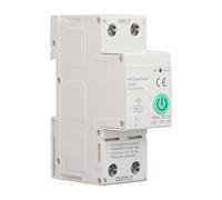 63A 2P Smart WiFi Circuit Breaker, AC230V Smart Metering Leakage Switch Remote Control Sensitive Electrical Monitoring Circuit Breaker for Smart Home