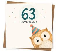 63rd Birthday Card for Her, 63 Owl Old? Party Hat Owl