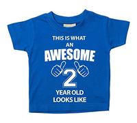 64 Second Makeover Limited This is What an Awesome 2 Year Old Looks Like Blue Tshirt 2nd Birthday Baby Toddler Kids 24-36 Months