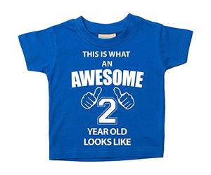 64 Second Makeover Limited This is What an Awesome 2 Year Old Looks Like Blue Tshirt 2nd Birthday Baby Toddler Kids 24-36 Months