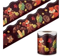 65 Feet Squirrel Bulletin Board Border Decorative Waterproofing This Bulletin Board Border is Printed with A Cute Squirrel Design for Outdoors Or Indoors Such As Classrooms School Notice Boards Desks