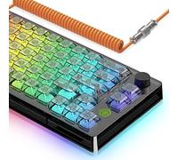 65% Hot-Swap Wired Mechanical Gaming Keyboard Programmable with Transparent 66 Key Full Side RGB OWERTY Linear Ice White Switch Custom Coiled C to A Cable Media Knob 2-IN-1 Case for WIN/PC/MAC(Black)