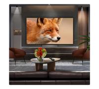 65`` OLED evo AI C5 4K Smart TV 2025