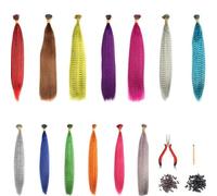 65 Pieces Colorful Hair Extensions Set Synthetic Hair Extensions with Pliers Hook 200 Beads Multicolor Hair Strands for Braiding