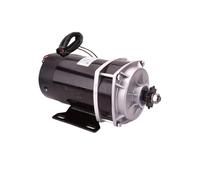 650W 24V 36V 48V DC Gear Brushed Motor MY1122ZXF(24V)