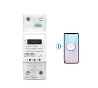 65A Single Phase Din Rail Smart Meter timer Monitor kWh Meter Wattmeter 110V 220V 50/60Hz EKFBQBGW(Energy meter)