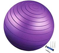 65cm Anti Burst Exercise Yoga Fitness Heavy Duty Ball Chair, for Balance, Stability, Pilates, Pregnancy and Labor Swiss Gym Ball Chair Exercise Stability (Purple)