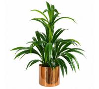 65Cm Artificial Bamboo Leaf Shrub With Brushed Copper Planter, Green