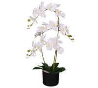 65cm Artificial Luxury Artificial Orchid - 3 Stems - Soft White Plant Leaf White One Size