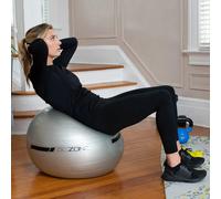 65cm STABILITY BALL Exercise Ball Yoga Ball for Fitness, Balance, 3lb Weighted ball for added Stability, or Pregnancy, Gym Ball for Core Workout, Physical Therapy, Yoga Ball Chair for Office, Anti-Sli