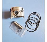 65mm Piston Kit Compatible With FJ180V FJ180 Engine Replacement For Lawn Mower Cylinder Piston Ring Pin Clip Assembly(2 X PISTON RING KIT)