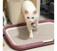 65x50cm Cat Litter Box Step Elevated Litter Collection Pad with Filter Function,Large Double Layer Cat Litter Trapping Ramp for Easy Cleaning (Purple)