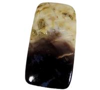 66.60 Cts Petrified Palm Agate Cabochon, Loose Agate Gemstone For Jewelry Making Loose Gemstone Healing Crystal, Releasing Negativity Gemstone By Gemcreation-B0BCWR17MRNAMZ