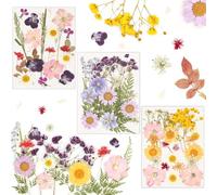 66 Pcs Dried Pressed Flowers for Resin 22 Types Mixed Real Natural Pressed Flowers for Crafts Scrapbooking Epoxy Resin Jewelry Molds Candle Soap Making Nails