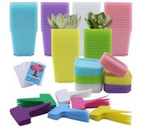 66 Pieces 7cm Small Plastic Plant Pot with 66pcs Plant Labels & 50pcs encouragement cards, Square Plant Nursery Pots with Trays, Plastic Flower Pot for Garden Office and Balcony Decor, Colorful