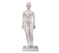 66fit Unisex Acupuncture Model, White, 48 Cm EU