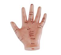 66fit Unisex Hand Acupuncture Model, Flesh, 13 cm