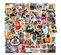 66Pcs Funny Cat Stickers for Kids Teens Adults Boys Girls Gift,Stickers Pack for Laptop,Skateboard Luggage Car Bike Cup Computer Water Bottle Decor,Cat Meme Vinyl Waterproof Sticker Decal
