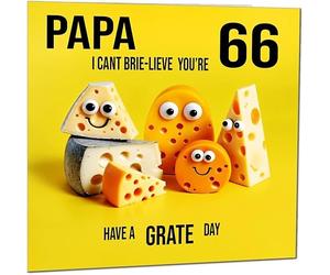 66th Papa funny Birthday Card for Papa - Cheese Pun Funny Papa's Birthday Card for 66 Year old Sixty Six, Sixty Sixth