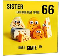 66th Sister Birthday Card - Cheese Pun Funny Sisters Birthday Card for 66 Year old Sixty Six, Sixty Sixth