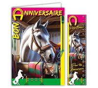 67-1262 Happy Birthday Card White Horse in Box with Envelope 12 x 17.5 cm Passion Horses Ponies Equestrian Sports Showjumping Training Cross-Country Horse Racing - Made in France
