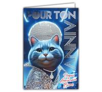 67-1267 Birthday Card Disco Cat Disco Ball Shiny Silver Glitter and Envelope 12 x 17.5 cm 70's Pet Costume Rhinestone Jacket Disco Nightclub 1970s
