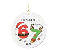67 Christmas Ornament, Funny Six Seven Acrylic Holiday Decorations Meme Gift for Christmas Tree Home Decor Funny Ornaments Tree Ornament (D-f, One Size)