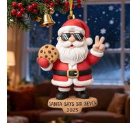 67 Meme Funny Christmas Ornaments, 2025 New 6 7 Ornament, Funny Ornament for Exchange, Hilarious Christmas Tree Ornaments Gift for Teens, Stocking Stuffer, Naughty Holiday Decor