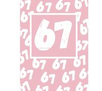 67 Notebook Pink: Primary Lines with Picture Box